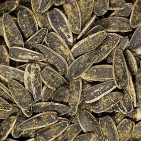 تخمه دور سفید گلپری